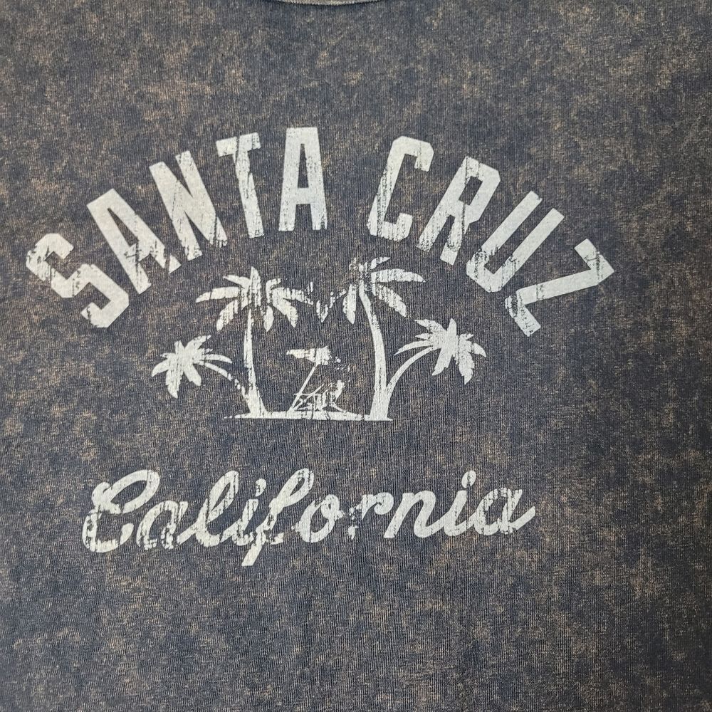 Champion Men’s T Shirt Size L Santa Cruz California Gray Vintage Wash New - Picture 4 of 9